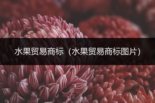 水果贸易商标（水果贸易商标图片）