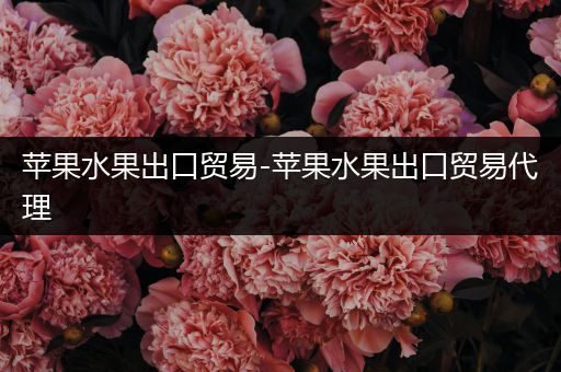 苹果水果出口贸易-苹果水果出口贸易代理