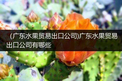 （广东水果贸易出口公司)广东水果贸易出口公司有哪些