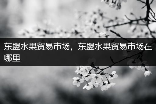 东盟水果贸易市场，东盟水果贸易市场在哪里