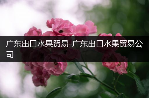 广东出口水果贸易-广东出口水果贸易公司