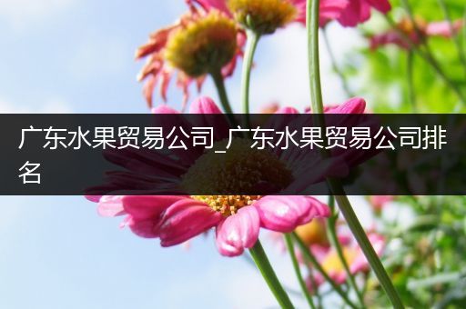 广东水果贸易公司_广东水果贸易公司排名